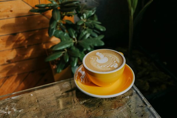 La robe idéale selon la morphologie